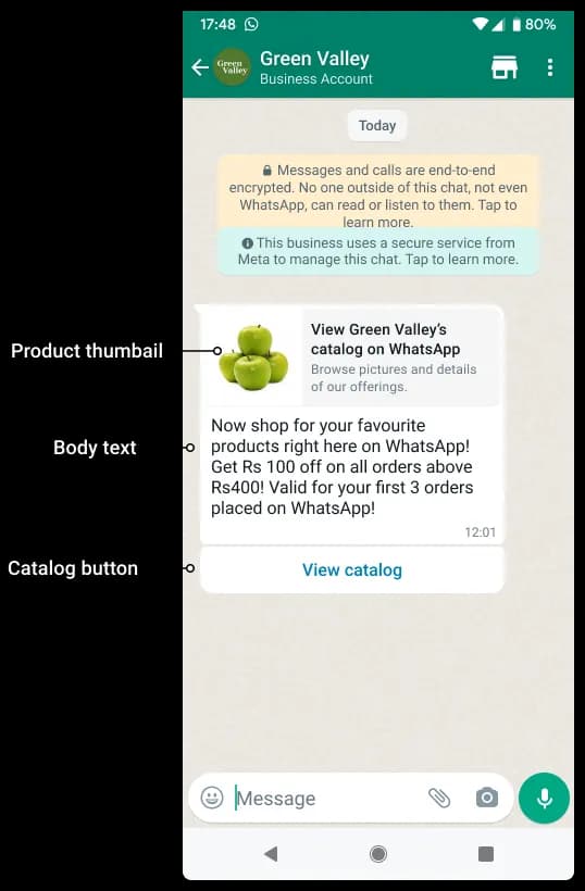 Catalogue chat demo